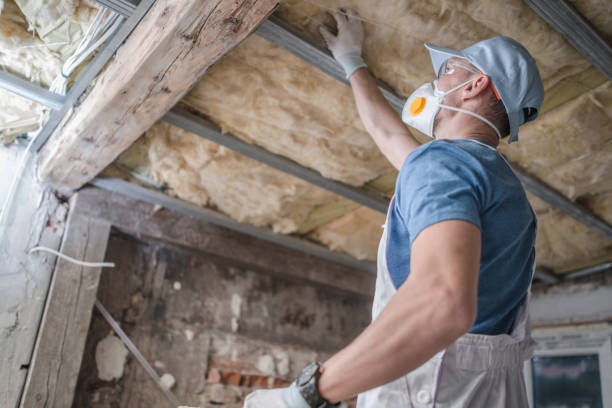 Best Attic Insulation Installation  in Nesquehoning, PA