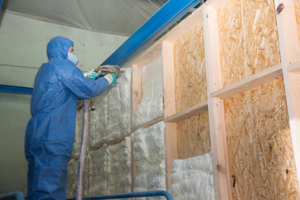 Best Best Insulation Companies  in Nesquehoning, PA
