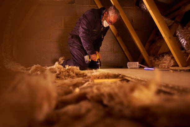 Best Cellulose Insulation  in Nesquehoning, PA